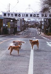 fukushima1_town.jpg
